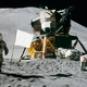 Illustration for article titled All the American Flags On the Moon Are Now White
